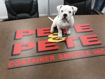 Enzo was employee of the month!