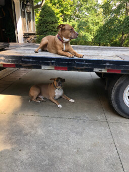 We call this one "Trailer Trash"